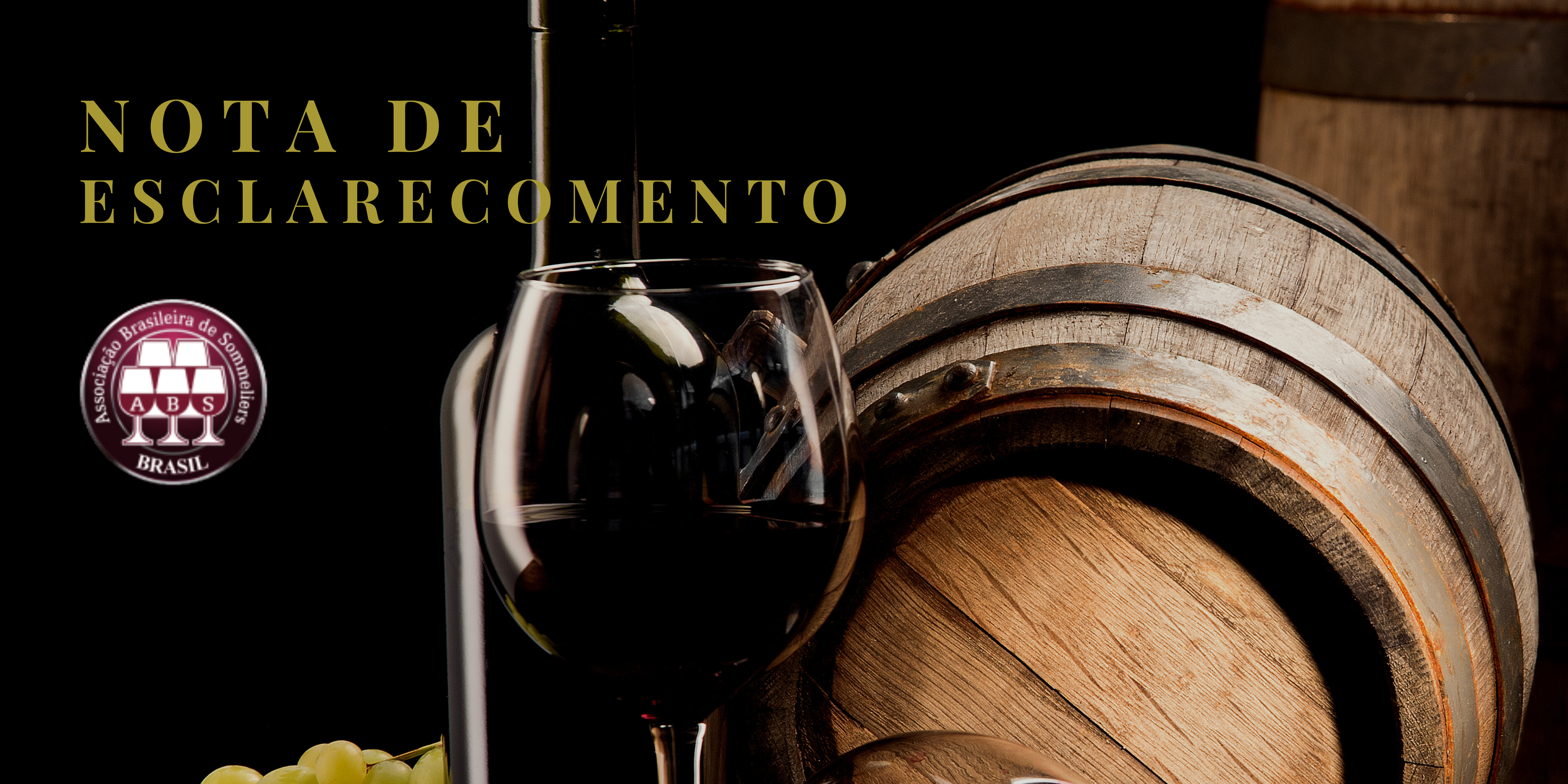 Ilustração blog https://dev.abs-brasil.com/noticia/abs-brasil/nota-de-esclarecimento