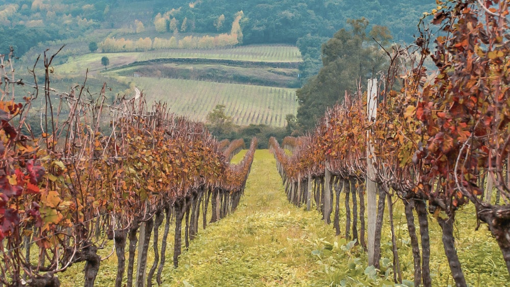 Ilustração blog https://dev.abs-brasil.com/noticia/abs-estaduais/o-berco-da-producao